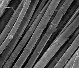 6ème colloque « Fibres naturelles et polymères » le 15 septembre 2022 à Troyes : focus sur le projet ANR ANUBIS, dédié à l’étude des fils de lin égyptiens anciens