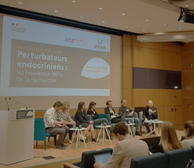 De nouveaux regards sur les perturbateurs endocriniens