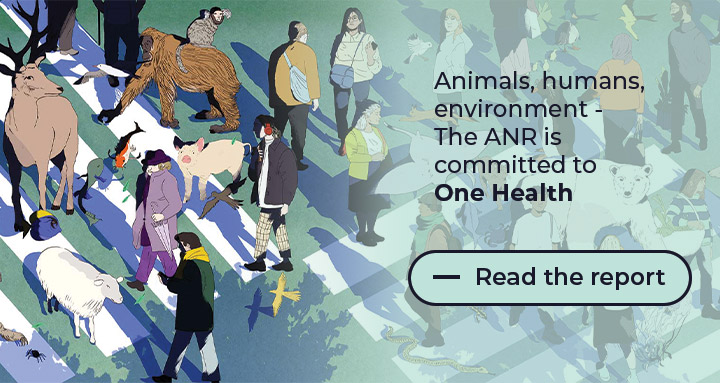 Animals, humans, environment - The ANR is committed to One Health